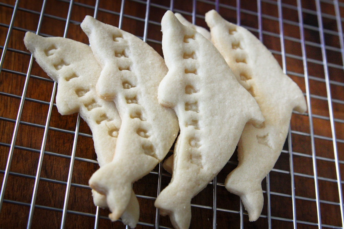 Personalized Dolphin Sugar Cookies